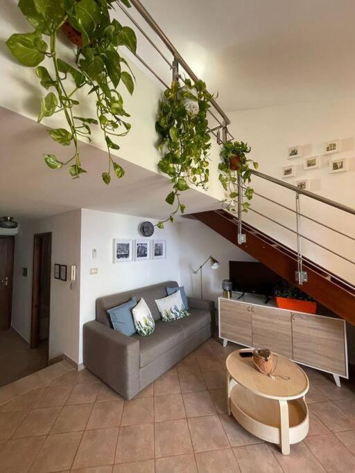 Ferienwohnung Magabu' - Swimming Pool And Free Parking Cefalù Exterior foto